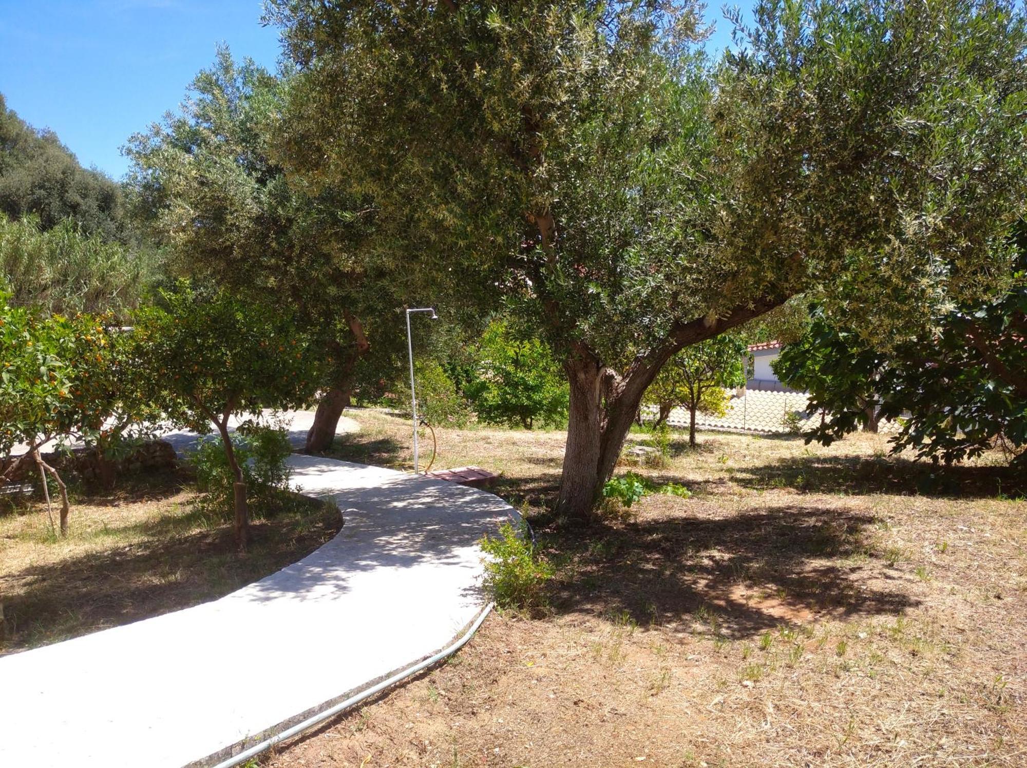 Kapandriti Rooms Skala  Εξωτερικό φωτογραφία